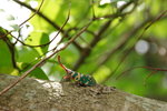 CRW_2827