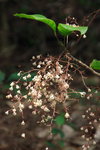 CRW_2835