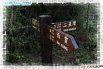IMG_0195