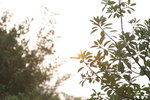 IMG_5939