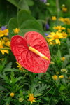 DPP_0230_resize