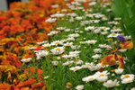 DPP_0234_resize