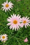 DPP_0235_resize