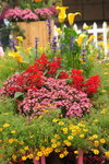 DPP_0236_resize