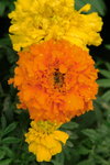 DPP_0237_resize