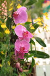 DPP_0239_resize