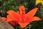 DPP_0240_resize
