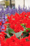 DPP_0241_resize