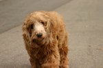 IMG_2557