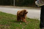 IMG_2558