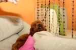 IMG_4819