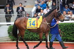 hkjc_0008
