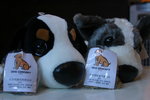 IMG_6216