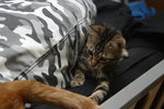 CRW_1042