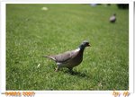 IMG_0014