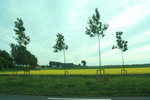 LON_D3_0017
