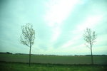 LON_D3_0020