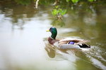 LON_D6_0023
