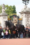 LON_D8_0016