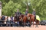 LON_D8_0018