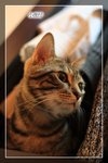 IMG_3541