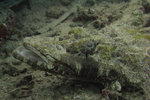 SIPANDAN080505_1207