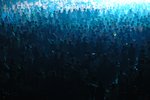 �F�����H�s�H��