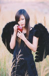 d.angel.01
