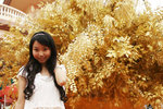 _MG_6705 (1)