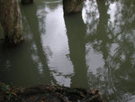 Dscn1827