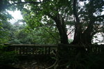 IMG_0381 (1)