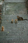 IMG_0391 (1)