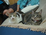 2006-12-06 ding & é