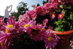 DSC_5212_resize