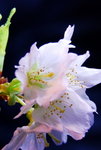 DSC_6055_resize