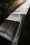 DSC_8285_resize