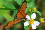 DSC_2582_resize