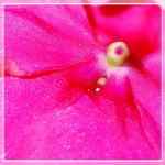 DSC_1587_resize