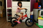 P1040864_resize
