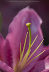 ROB_1644