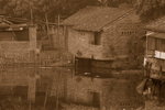 �F�y�C_0018_�Y�p�j�p