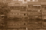 �F�y�C_0019_�Y�p�j�p