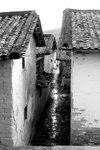 �F�y�C_0041_�Y�p�j�p