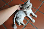 _DSC0831 copy