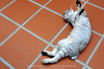 _DSC0993 copy