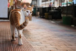 DSCF_8815