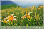 hualien117