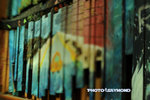 Snp_3364