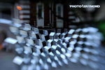 Snp_3630