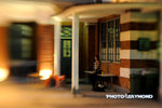 Snp_3740